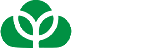 江苏云朵木业有限公司